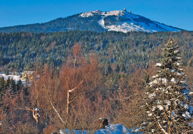 Winterwunderland im Bayerischen Wald